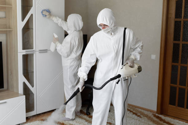24/7 Emergency Odor Removal experts in Rosewood, OH